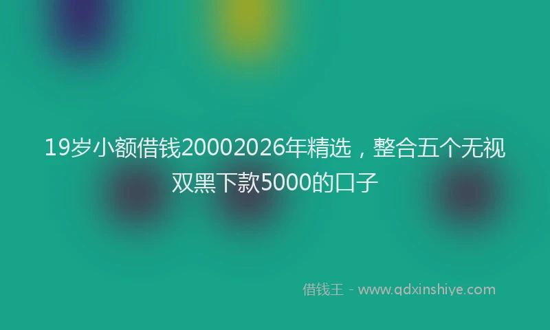 19岁小额借钱20002026年精选，整合五个无视双黑下款5000的口子