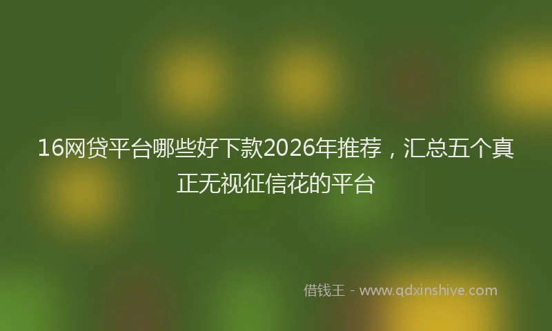 16网贷平台哪些好下款2026年推荐，汇总五个真正无视征信花的平台