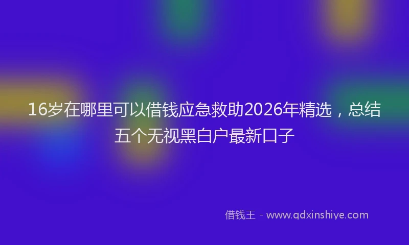 16岁在哪里可以借钱应急救助2026年精选，总结五个无视黑白户最新口子