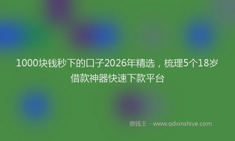 1000块钱秒下的口子2026年精选，梳理5个18岁借款神器快速下款平台