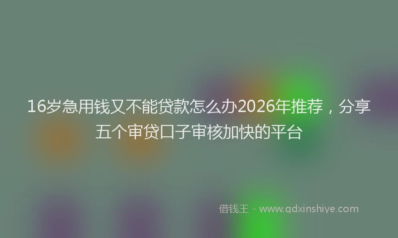 16岁急用钱又不能贷款怎么办2026年推荐，分享五个审贷口子审核加快的平台