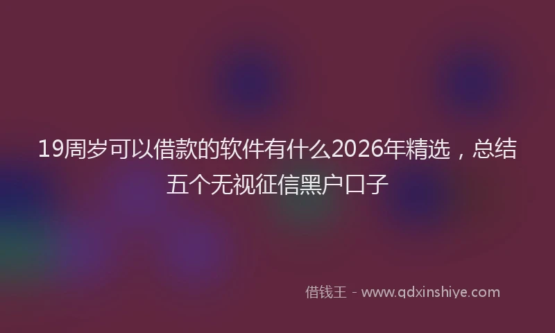 19周岁可以借款的软件有什么2026年精选，总结五个无视征信黑户口子