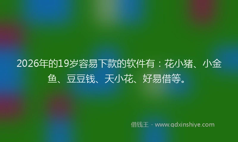 2026年的19岁容易下款的软件有:花小猪、小金鱼、豆豆钱、天小花、好易借等。