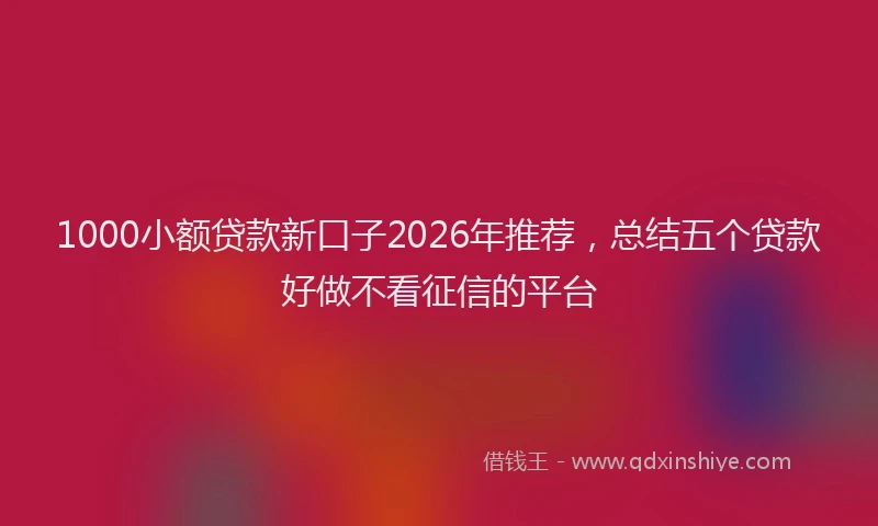 1000小额贷款新口子2026年推荐，总结五个贷款好做不看征信的平台