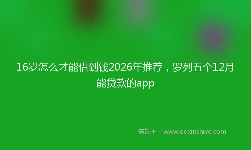 16岁怎么才能借到钱2026年推荐，罗列五个12月能贷款的app