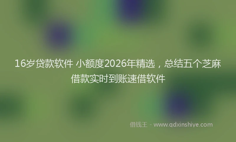16岁贷款软件 小额度2026年精选，总结五个芝麻借款实时到账速借软件