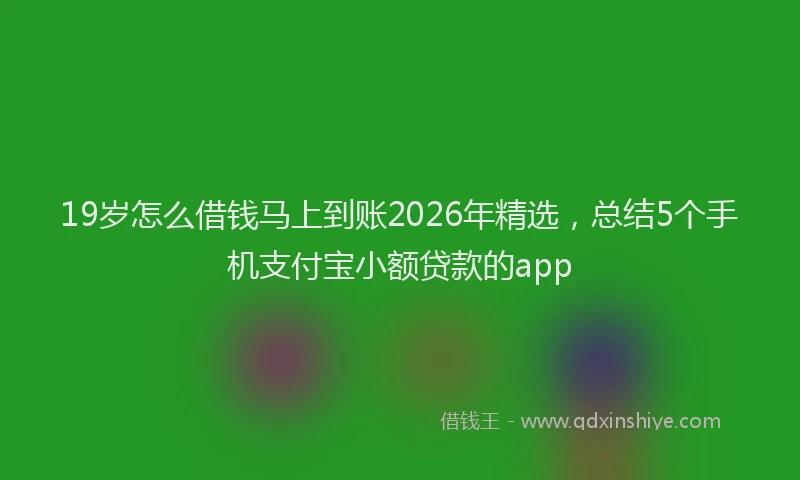 19岁怎么借钱马上到账2026年精选，总结5个手机支付宝小额贷款的app