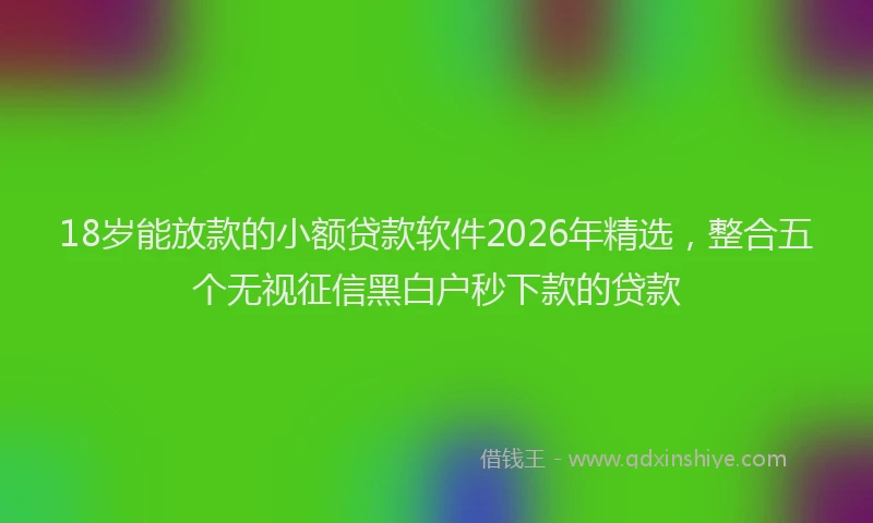 18岁能放款的小额贷款软件2026年精选,整合五个无视征信黑白户秒下款的贷款
