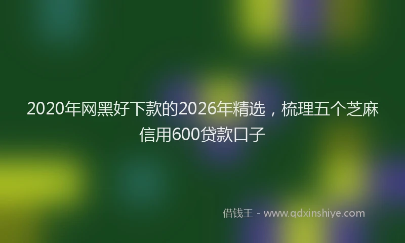 2020年网黑好下款的2026年精选,梳理五个芝麻信用600贷款口子