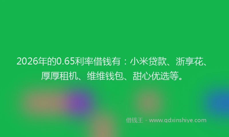 2026年的0.65利率借钱有:小米贷款、浙享花、厚厚租机、维维钱包、甜心优选等。