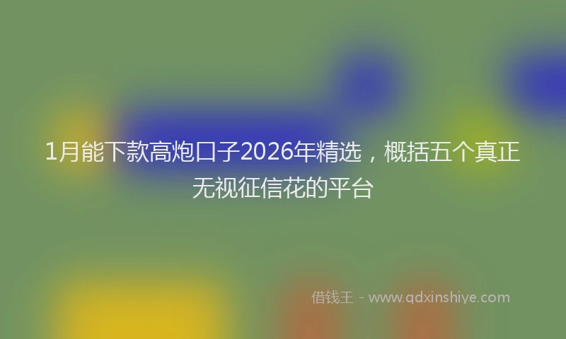 1月能下款高炮口子2026年精选，概括五个真正无视征信花的平台