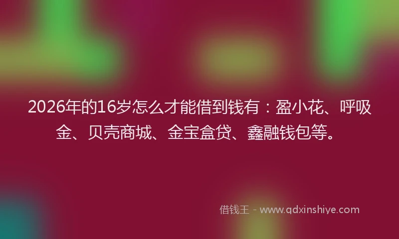 2026年的16岁怎么才能借到钱有：盈小花、呼吸金、贝壳商城、金宝盒贷、鑫融钱包等。