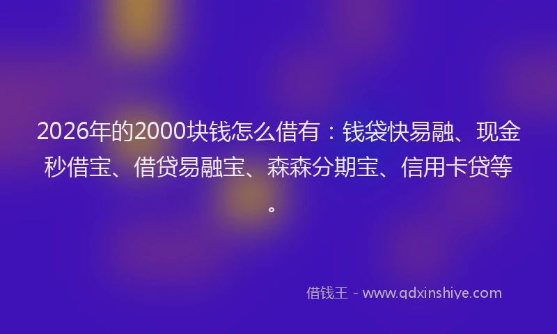 2026年的2000块钱怎么借有:钱袋快易融、现金秒借宝、借贷易融宝、森森分期宝、信用卡贷等。