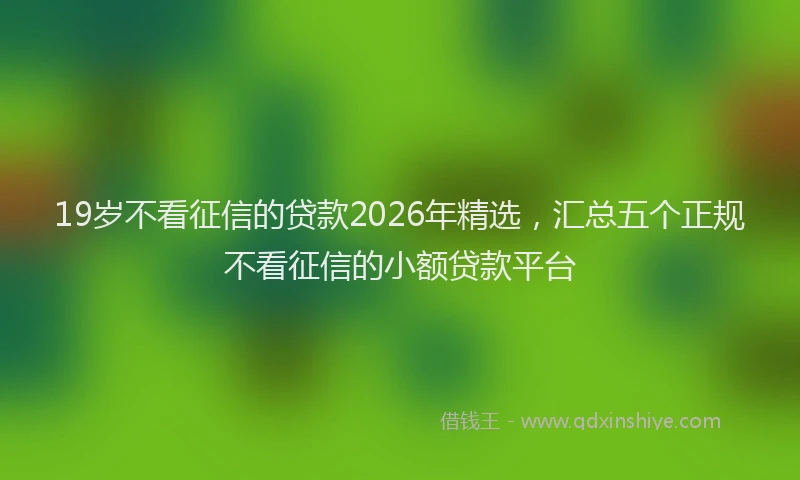 19岁不看征信的贷款2026年精选，汇总五个正规不看征信的小额贷款平台