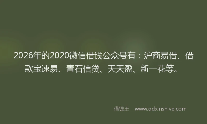 2026年的2020微信借钱公众号有:沪商易借、借款宝速易、青石信贷、天天盈、新一花等。