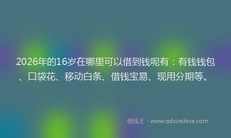 2026年的16岁在哪里可以借到钱呢有：有钱钱包、口袋花、移动白条、借钱宝易、现用分期等。