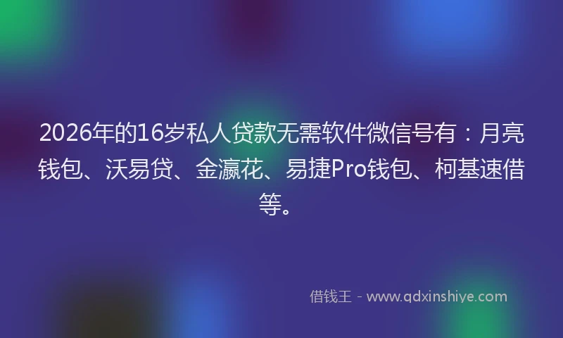 2026年的16岁私人贷款无需软件微信号有:月亮钱包、沃易贷、金瀛花、易捷Pro钱包、柯基速借等。