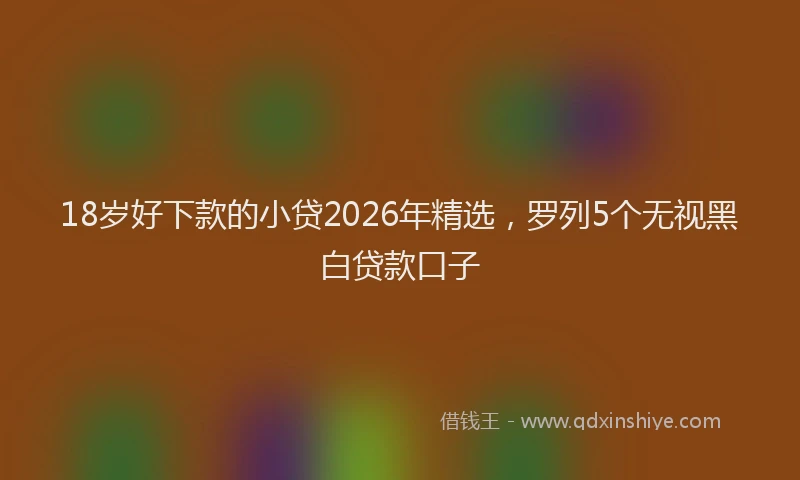 18岁好下款的小贷2026年精选，罗列5个无视黑白贷款口子