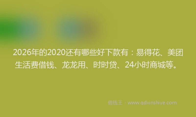 2026年的2020还有哪些好下款有：易得花、美团生活费借钱、龙龙用、时时贷、24小时商城等。