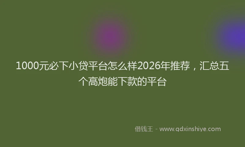 1000元必下小贷平台怎么样2026年推荐，汇总五个高炮能下款的平台