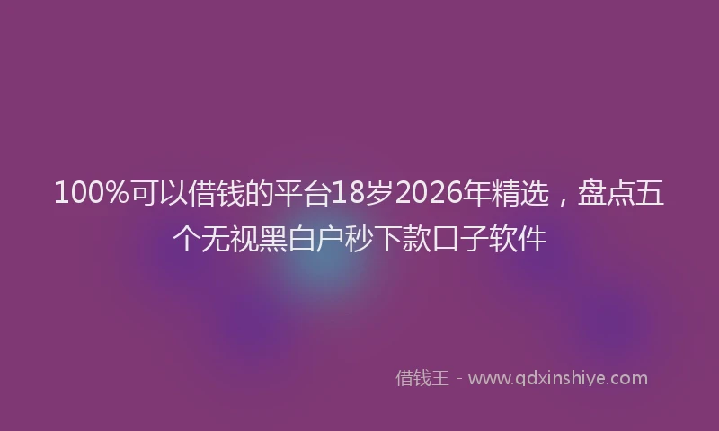 100%可以借钱的平台18岁2026年精选,盘点五个无视黑白户秒下款口子软件