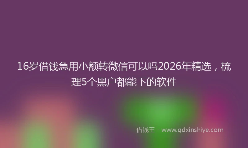 16岁借钱急用小额转微信可以吗2026年精选，梳理5个黑户都能下的软件