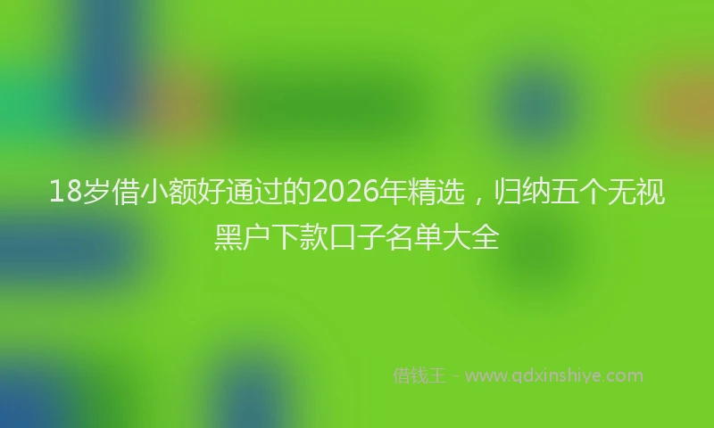 18岁借小额好通过的2026年精选，归纳五个无视黑户下款口子名单大全