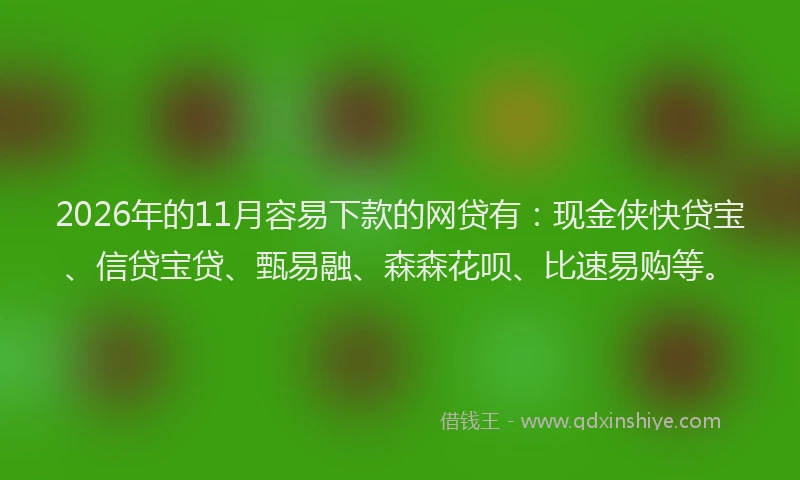 2026年的11月容易下款的网贷有：现金侠快贷宝、信贷宝贷、甄易融、森森花呗、比速易购等。
