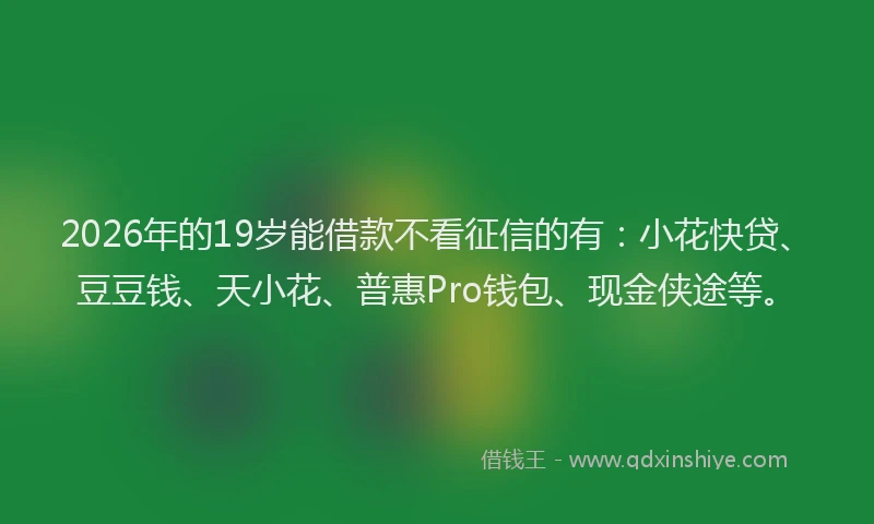 2026年的19岁能借款不看征信的有：小花快贷、豆豆钱、天小花、普惠Pro钱包、现金侠途等。