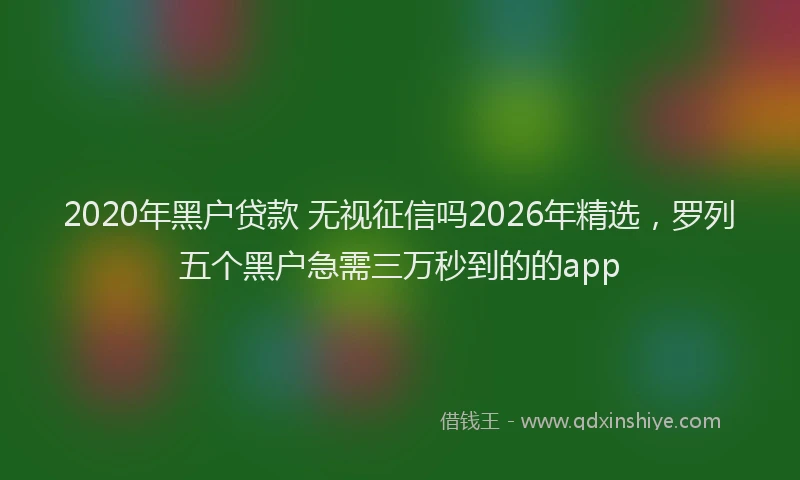 2020年黑户贷款 无视征信吗2026年精选,罗列五个黑户急需三万秒到的的app