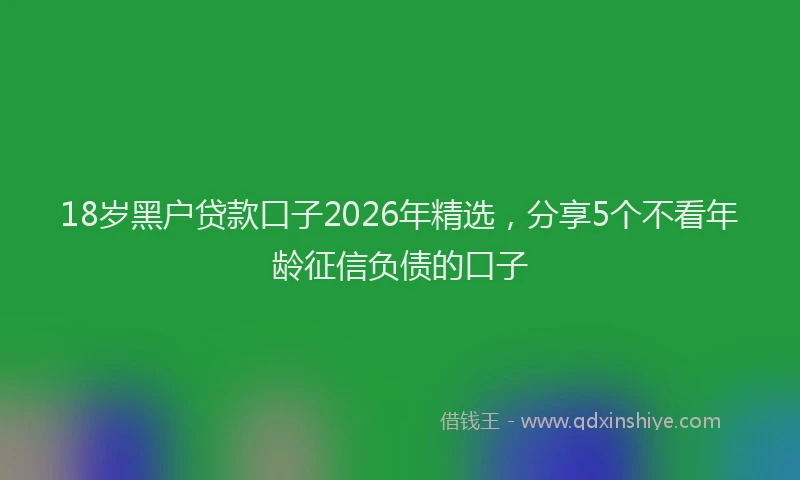 18岁黑户贷款口子2026年精选，分享5个不看年龄征信负债的口子