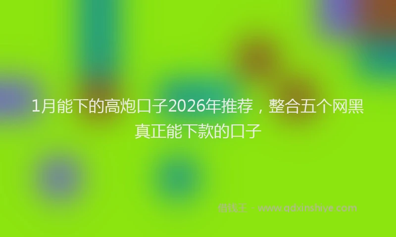1月能下的高炮口子2026年推荐，整合五个网黑真正能下款的口子