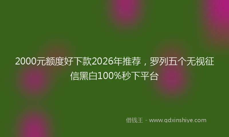 2000元额度好下款2026年推荐，罗列五个无视征信黑白100%秒下平台