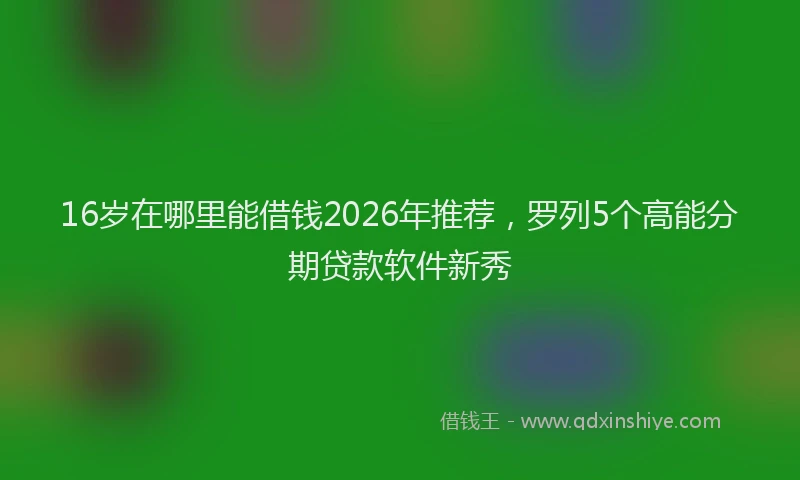 16岁在哪里能借钱2026年推荐，罗列5个高能分期贷款软件新秀