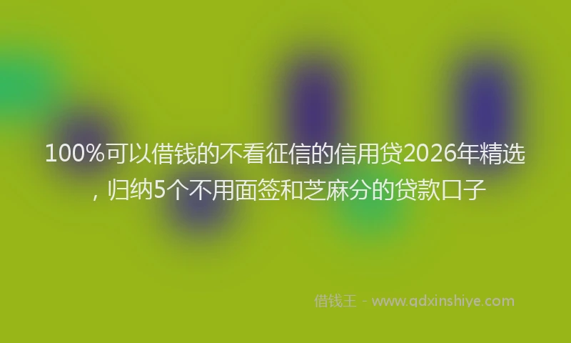 100%可以借钱的不看征信的信用贷2026年精选,归纳5个不用面签和芝麻分的贷款口子