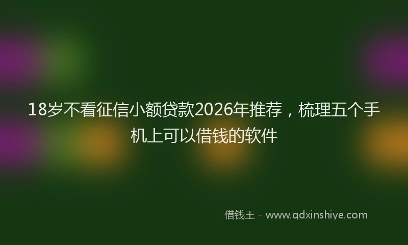 18岁不看征信小额贷款2026年推荐，梳理五个手机上可以借钱的软件