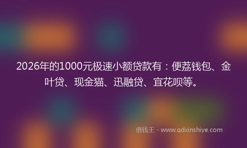 2026年的1000元极速小额贷款有:便荔钱包、金叶贷、现金猫、迅融贷、宜花呗等。