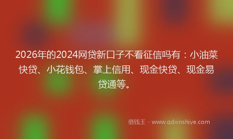 2026年的2024网贷新口子不看征信吗有：小油菜快贷、小花钱包、掌上信用、现金快贷、现金易贷通等。