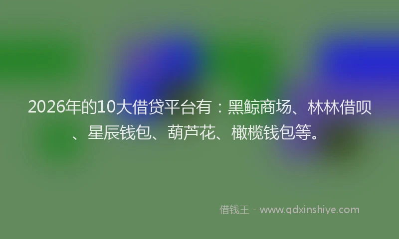 2026年的10大借贷平台有:黑鲸商场、林林借呗、星辰钱包、葫芦花、橄榄钱包等。