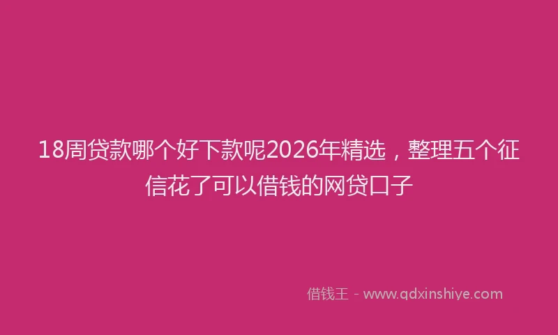 18周贷款哪个好下款呢2026年精选，整理五个征信花了可以借钱的网贷口子