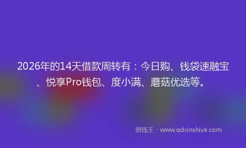 2026年的14天借款周转有：今日购、钱袋速融宝、悦享Pro钱包、度小满、蘑菇优选等。