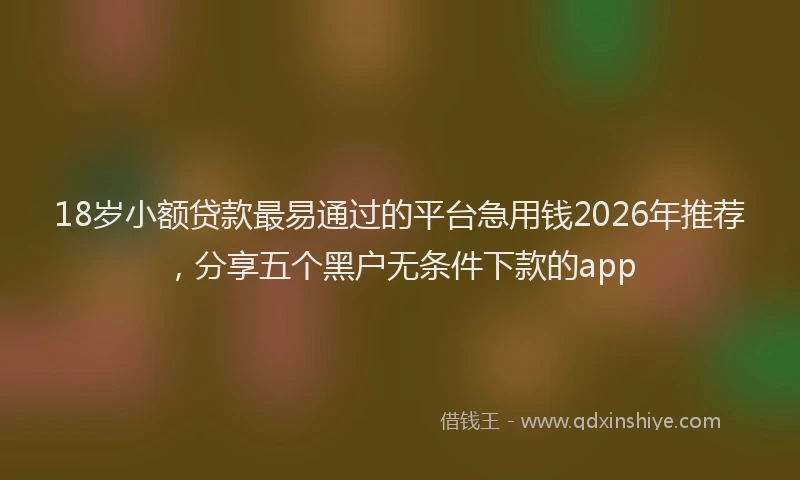 18岁小额贷款最易通过的平台急用钱2026年推荐，分享五个黑户无条件下款的app