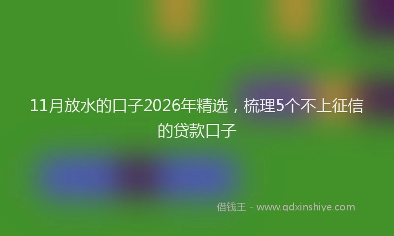 11月放水的口子2026年精选，梳理5个不上征信的贷款口子
