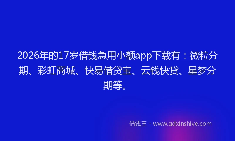 2026年的17岁借钱急用小额app下载有:微粒分期、彩虹商城、快易借贷宝、云钱快贷、星梦分期等。