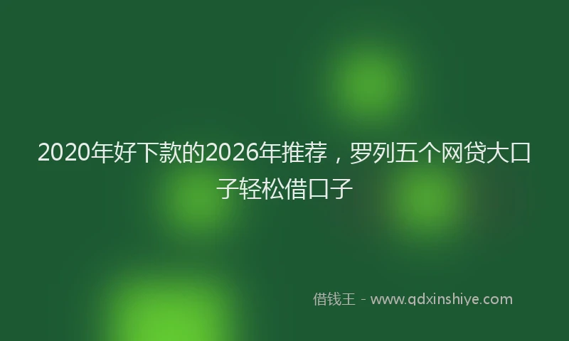 2020年好下款的2026年推荐,罗列五个网贷大口子轻松借口子