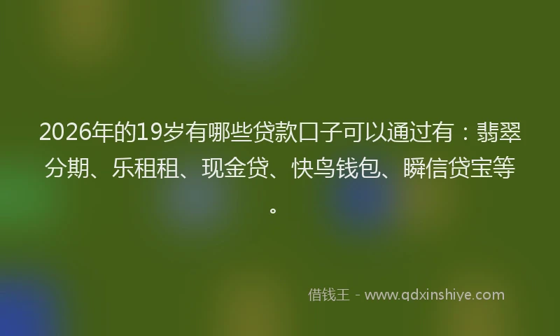 2026年的19岁有哪些贷款口子可以通过有:翡翠分期、乐租租、现金贷、快鸟钱包、瞬信贷宝等。