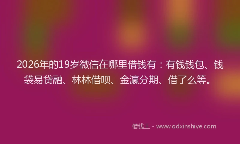 2026年的19岁微信在哪里借钱有:有钱钱包、钱袋易贷融、林林借呗、金瀛分期、借了么等。