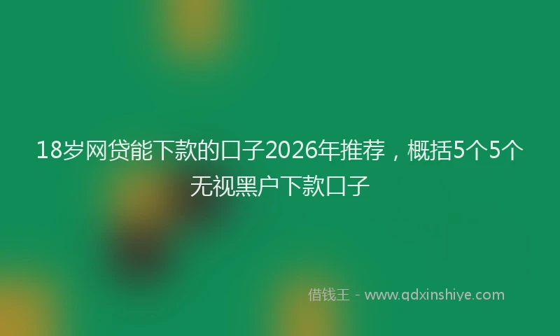 18岁网贷能下款的口子2026年推荐，概括5个5个无视黑户下款口子