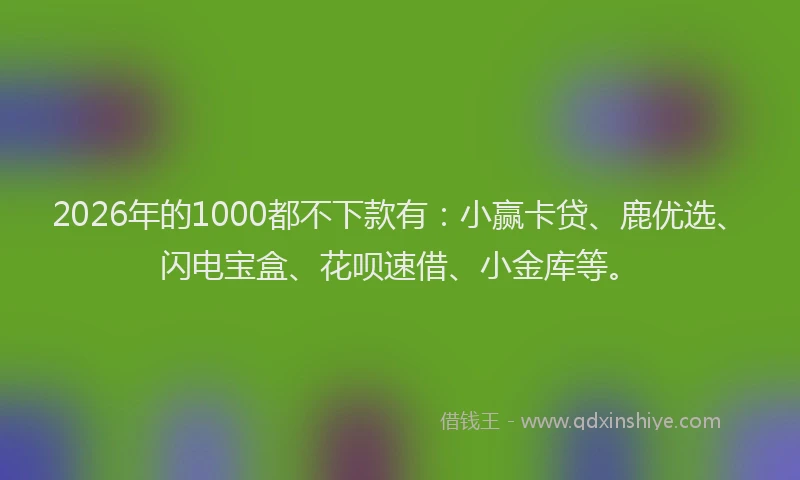 2026年的1000都不下款有：小赢卡贷、鹿优选、闪电宝盒、花呗速借、小金库等。
