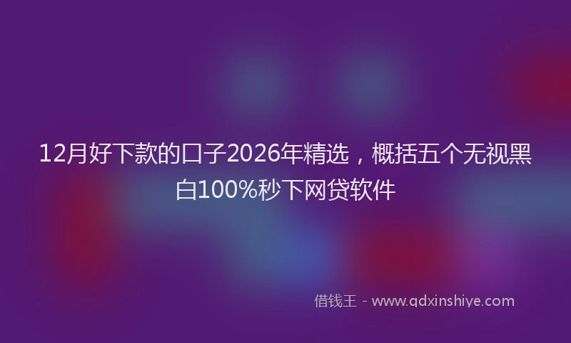 12月好下款的口子2026年精选，概括五个无视黑白100%秒下网贷软件